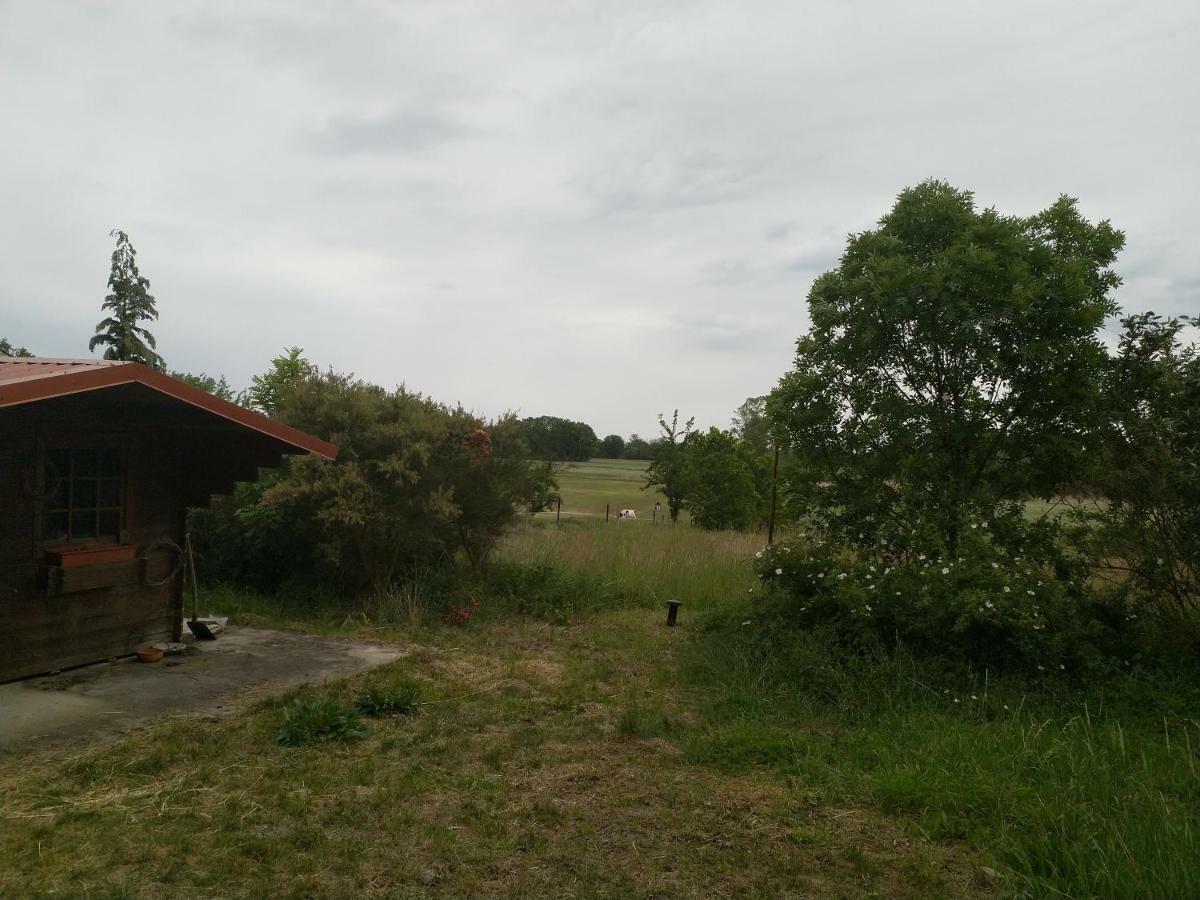 New Home Langendorf  エクステリア 写真
